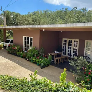 nuwaraeliya-apartment.kandyhotelsnow.com/